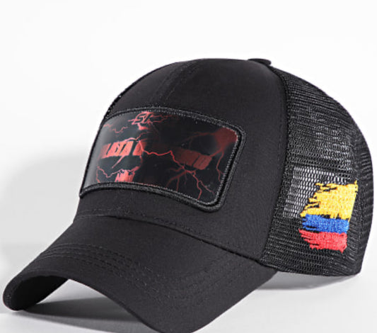 Casquettes Skr Plata o plomo